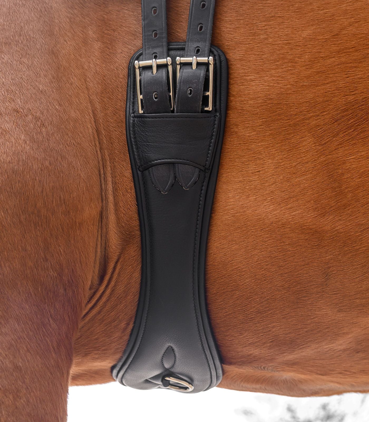 Anatomisk mjuk lädergjord Dressyr