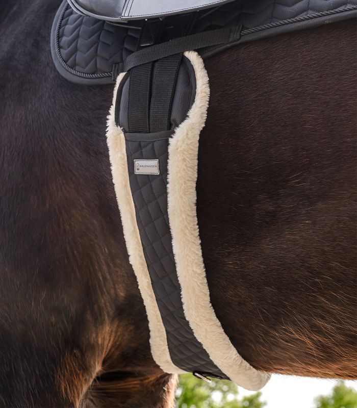 Moon formad Gjord med Teddy