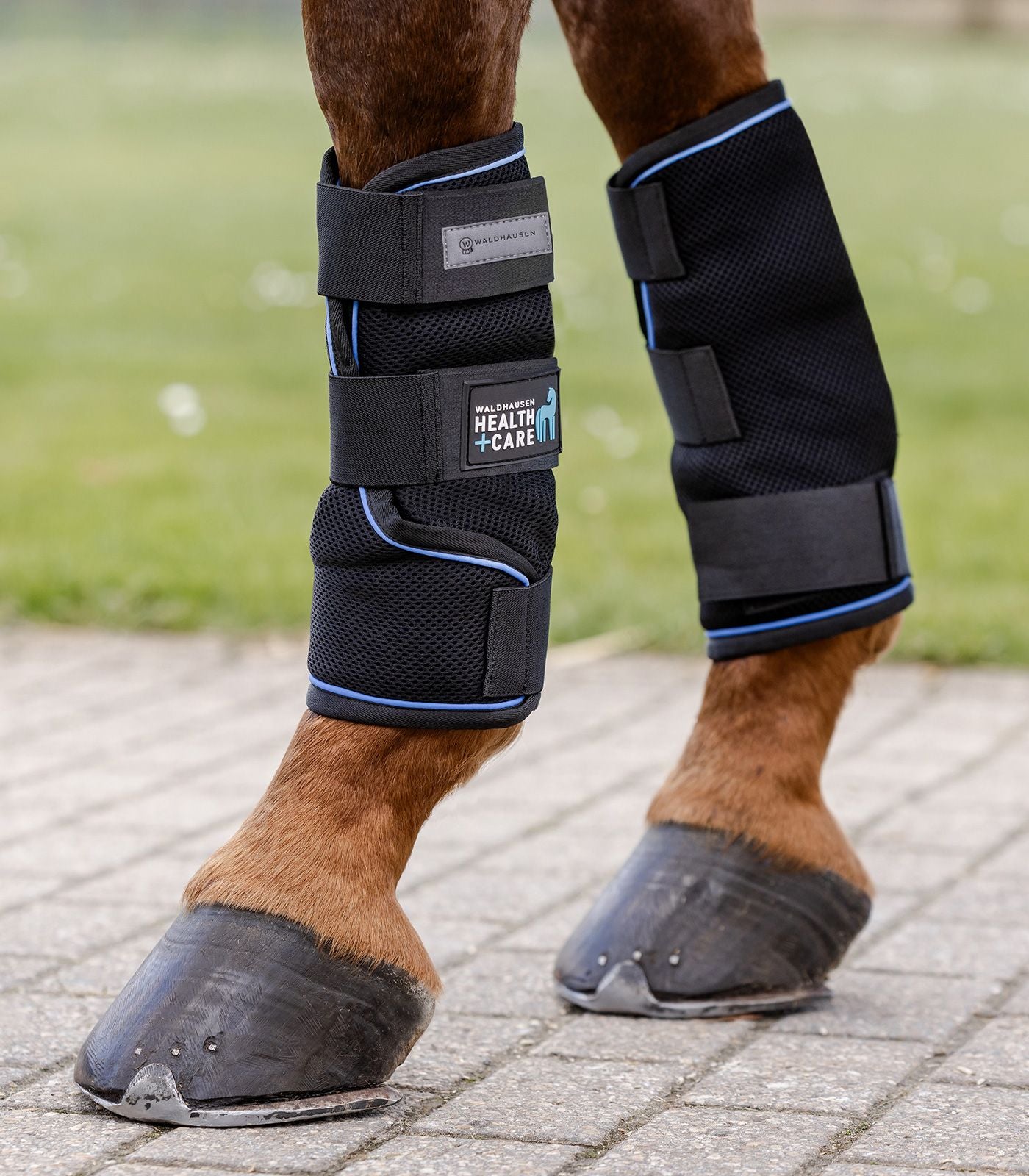 Health + Care Ice Layer Boots