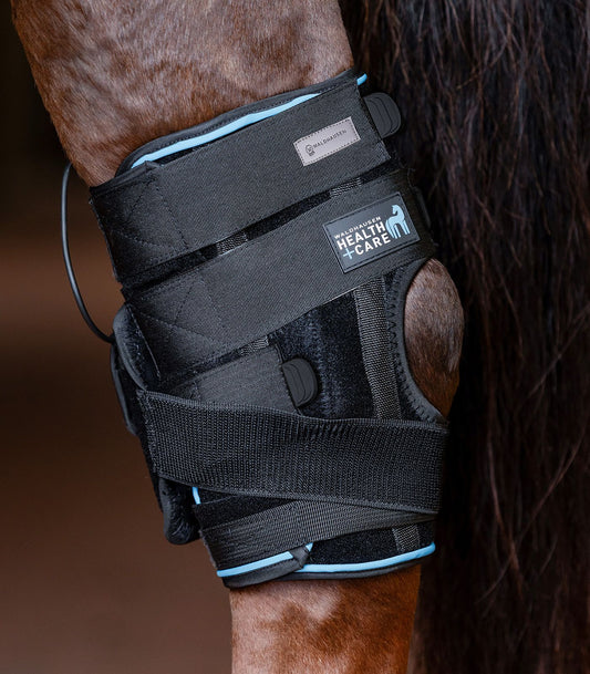 Health + Care Hock Tendon Boot