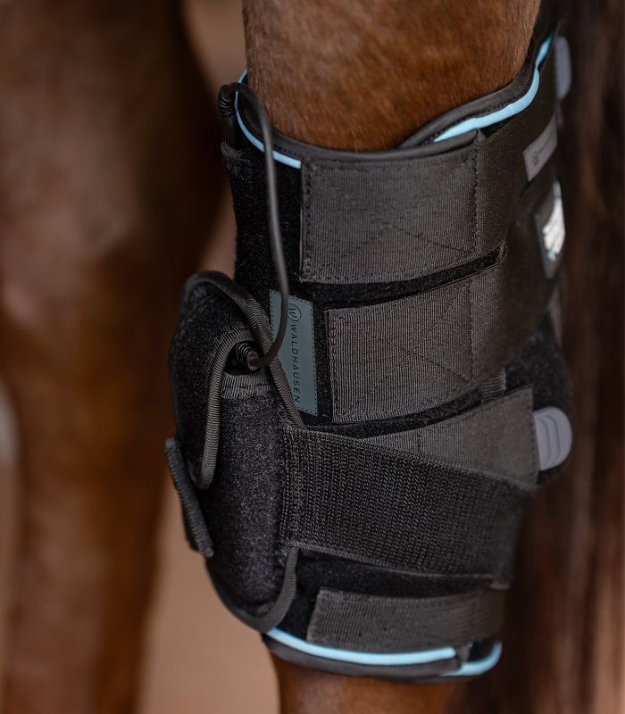 Health + Care Hock Tendon Boot