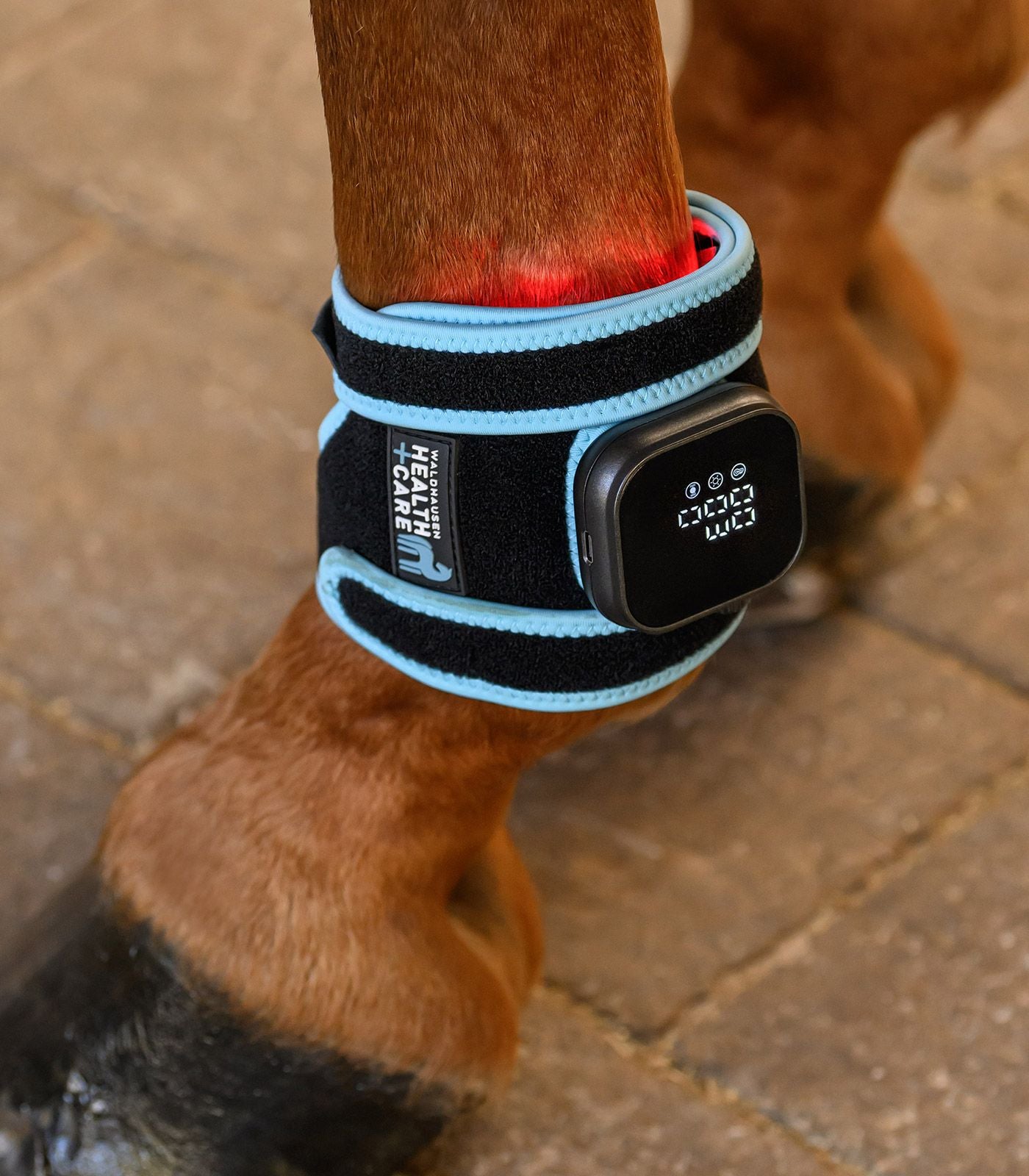 Health + Care Infrared flexpad