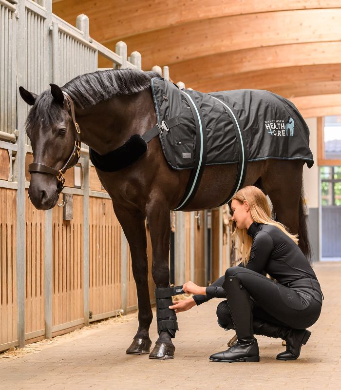 Health + Care TecSupreme tendon boots