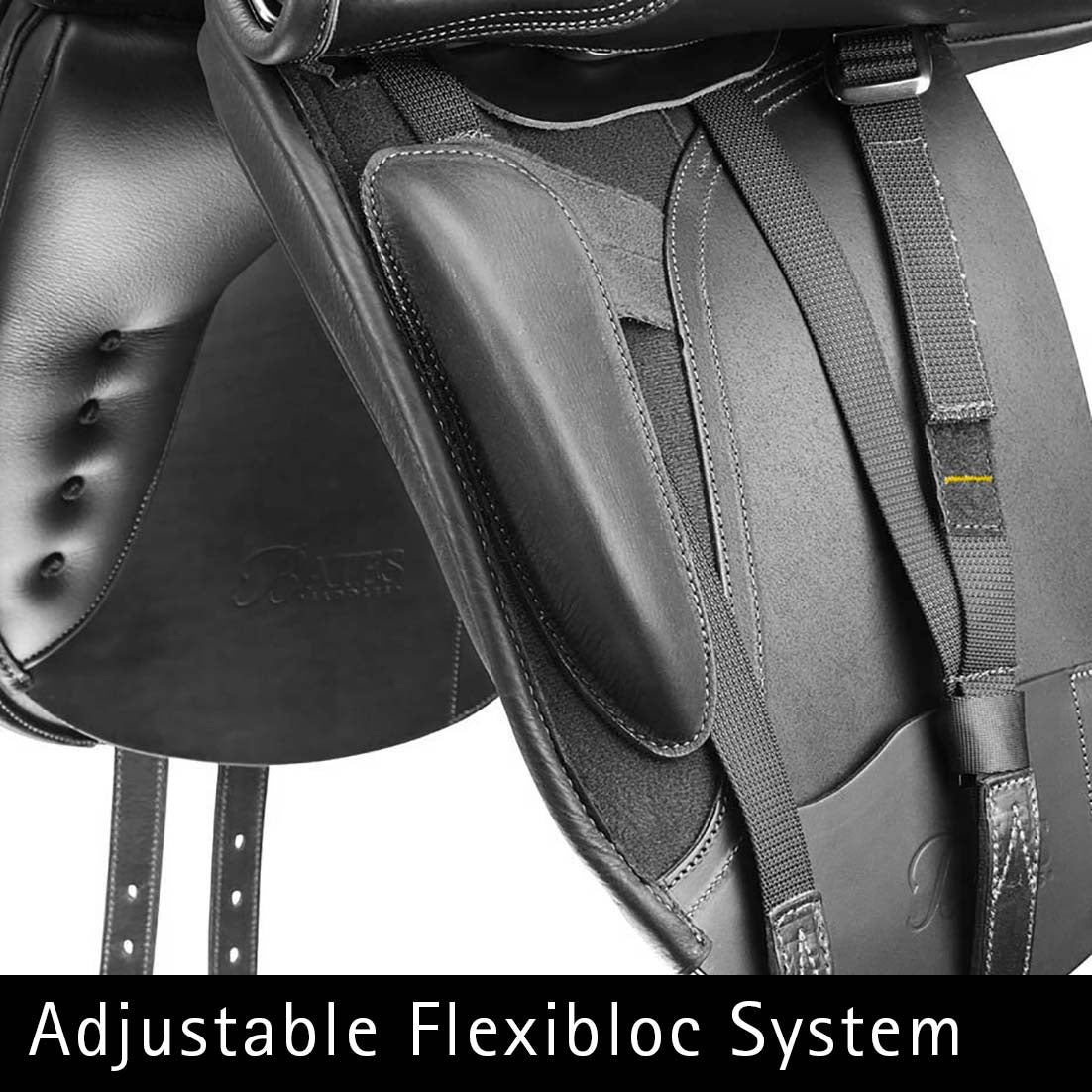 Bates Dressyr Heritage