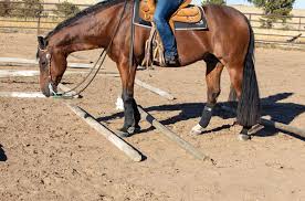 Privatlektion - Ridning